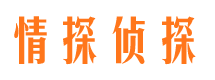 崇安婚外情调查取证